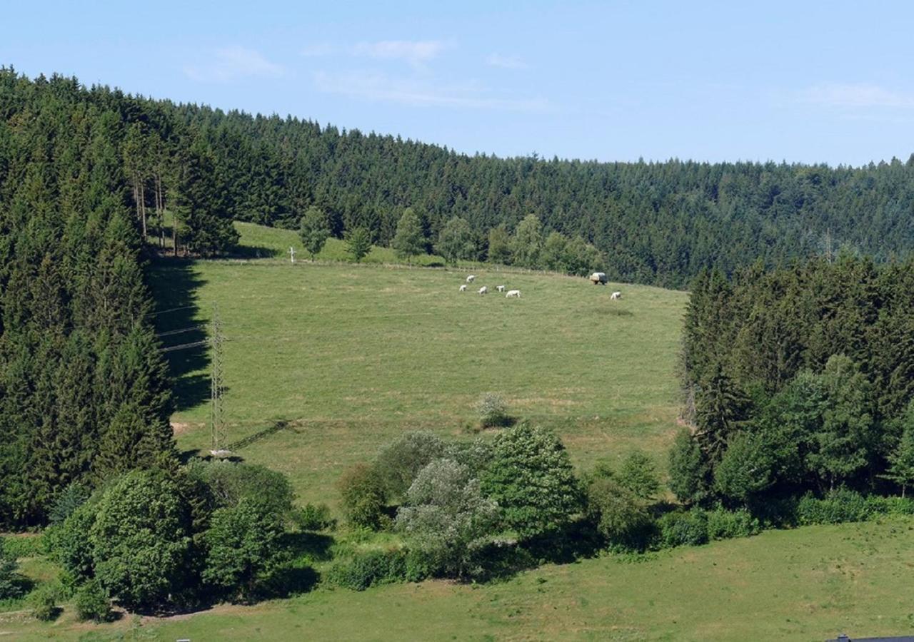 Hotel Suedhang Niedersfeld Εξωτερικό φωτογραφία